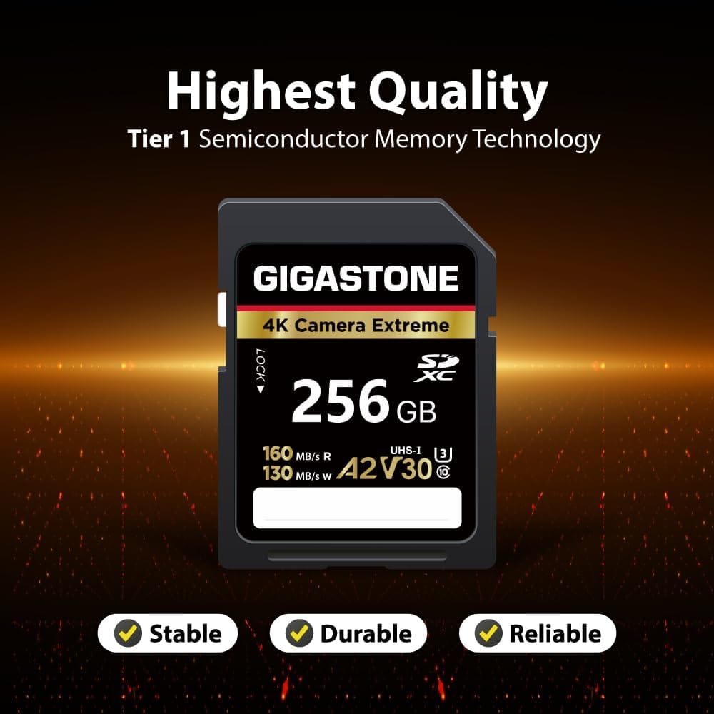 GIGASTONE 256Go