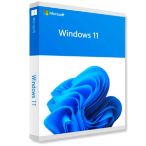 Windows 11