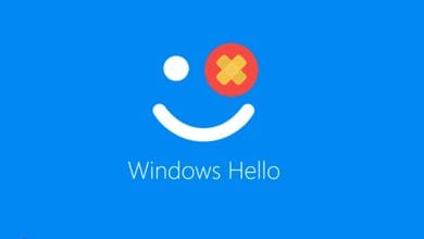 windows-hello-bug