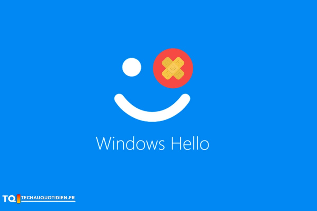 windows-hello-bug