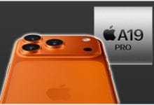 A19-puce-Apple