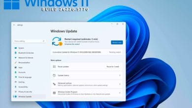 windows-11-Build-26220.5770