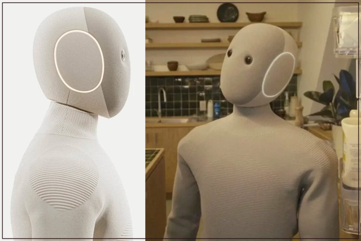 NEO-le-robot