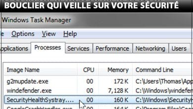 SecurityHealthSystray.exe