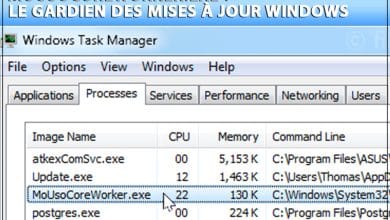 mousocoreworker-exe
