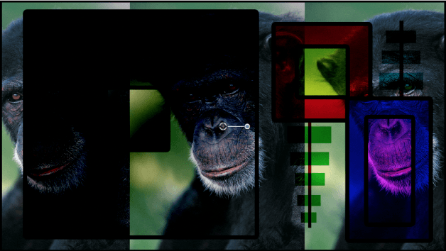 Module photo Fusion et adaptation logicielle d'iOS